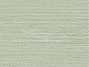 Casamance Golfe du Bengale Zostera - 75972446