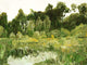 Casamance Panoramas 3 Colvert - 76391222