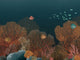Casamance Panoramas 4 Polynesie - 76792038