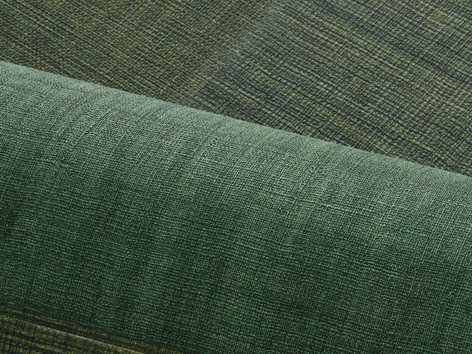 Casamance Select 9 Mestizo - A76321630