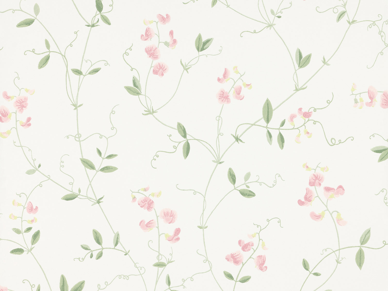 Sandberg Tidlösa Sanna - 490 - 24