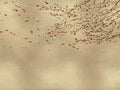 Coordonné Random Metallics Eolia - 9600040