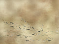 Coordonné Random Metallics Koi - 9600060