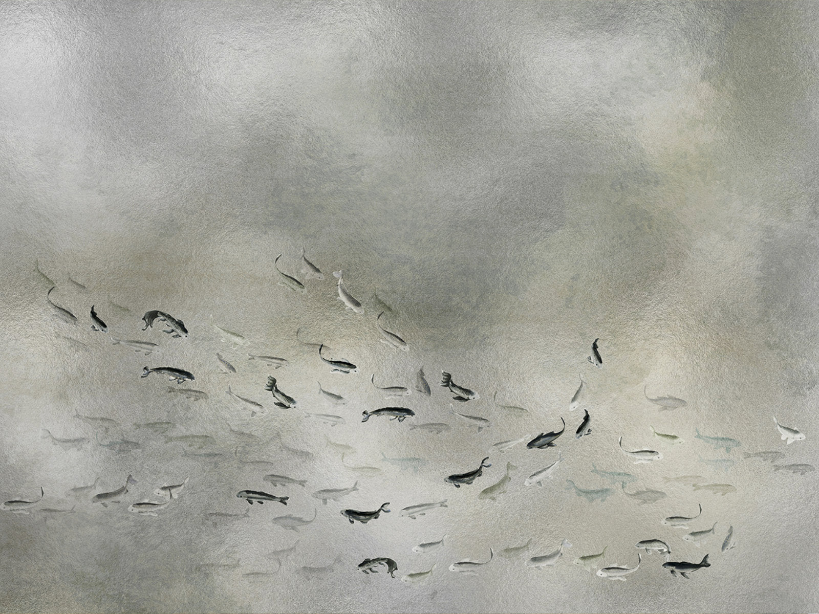 Coordonné Random Metallics Koi - 9600061