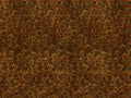 Coordonné Random Metallics Peafowl - 9600090