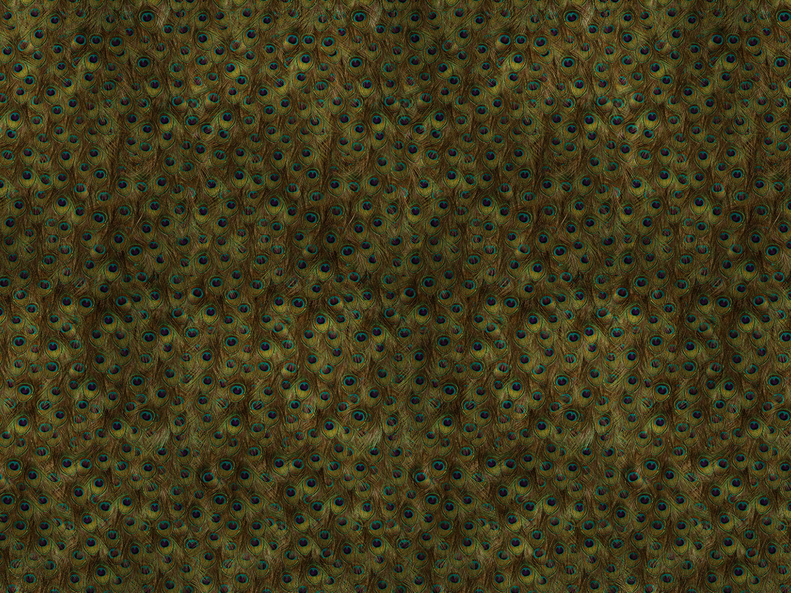 Coordonné Random Metallics Peafowl - 9600091