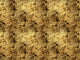 Coordonné Random Metallics Star Colission - 9600700