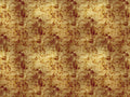 Coordonné Random Metallics Star Colission - 9600702