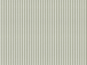 Coordonné Stripes & Checks Stripe 0,7 - A00710