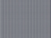Coordonné Stripes & Checks Stripe 0,7 - A00717