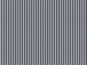 Coordonné Stripes & Checks Stripe 0,7 - A00717