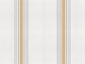 Coordonné Stripes & Checks Stripe 2 - A00721