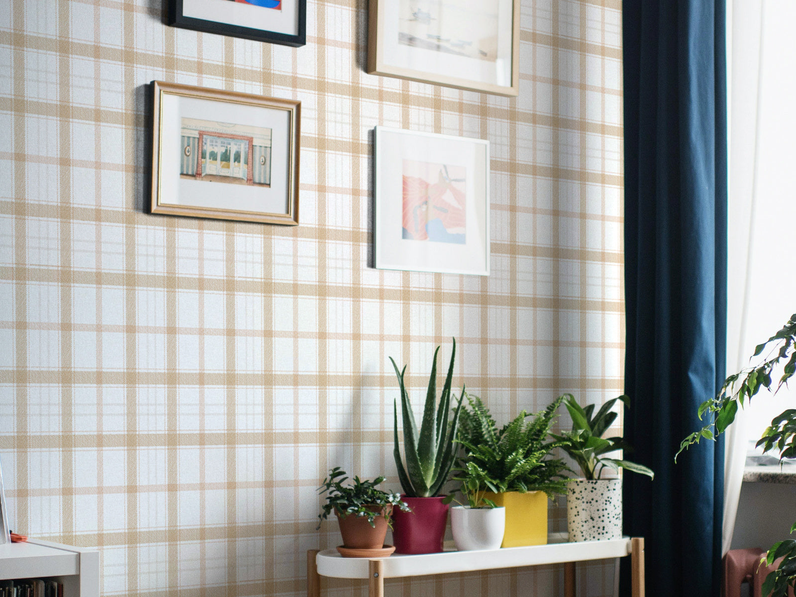 Coordonné Stripes & Checks Check 11,5 - A00766