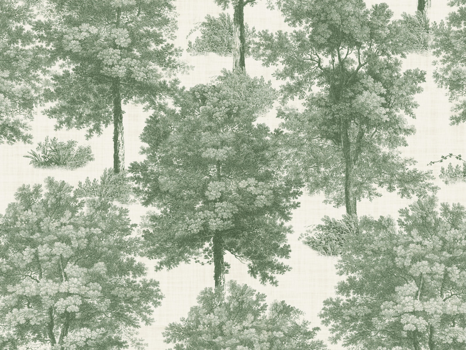 Coordonné Victorian Chestnut tree - B00348