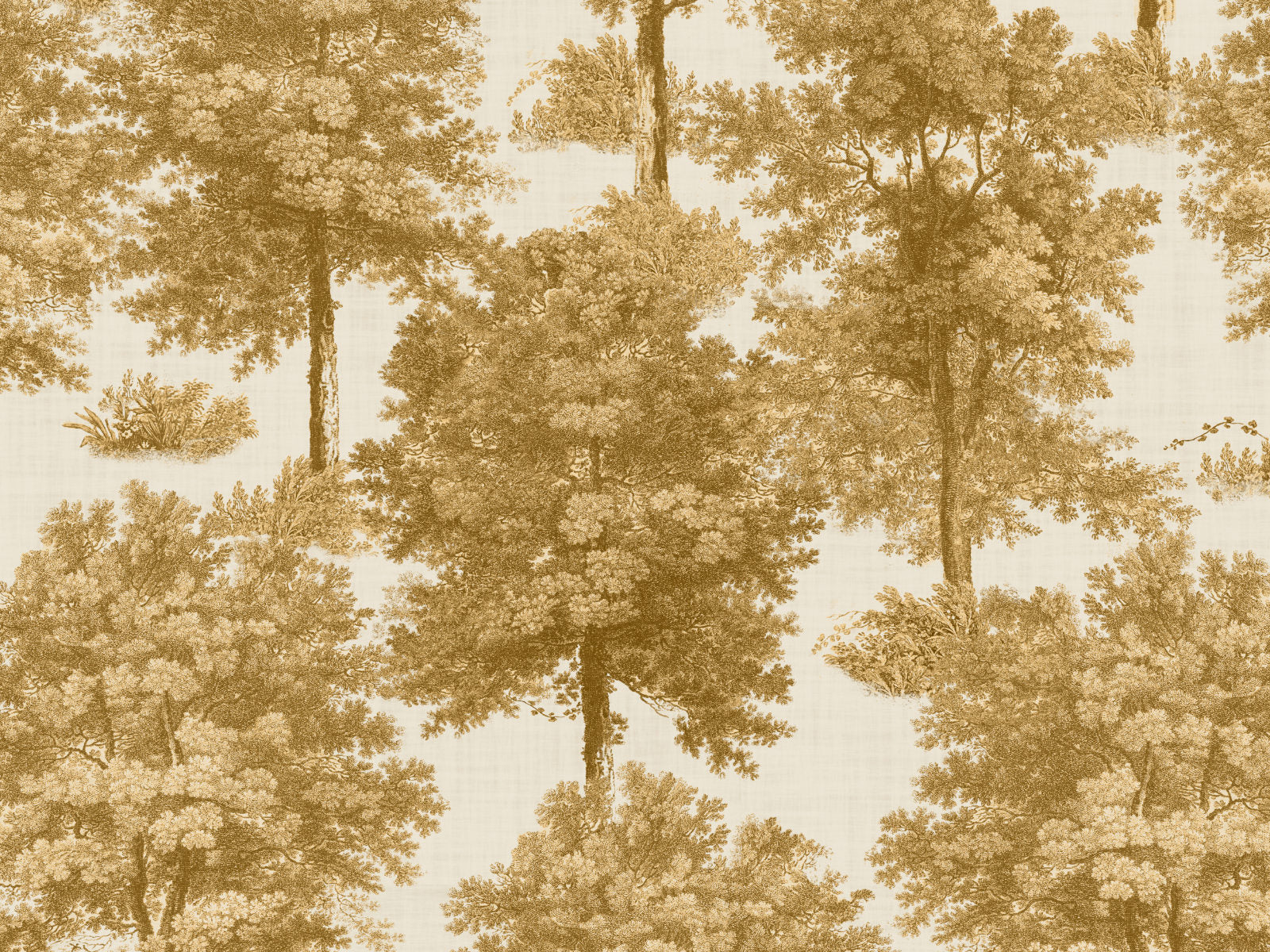 Coordonné Victorian Chestnut tree - B00349