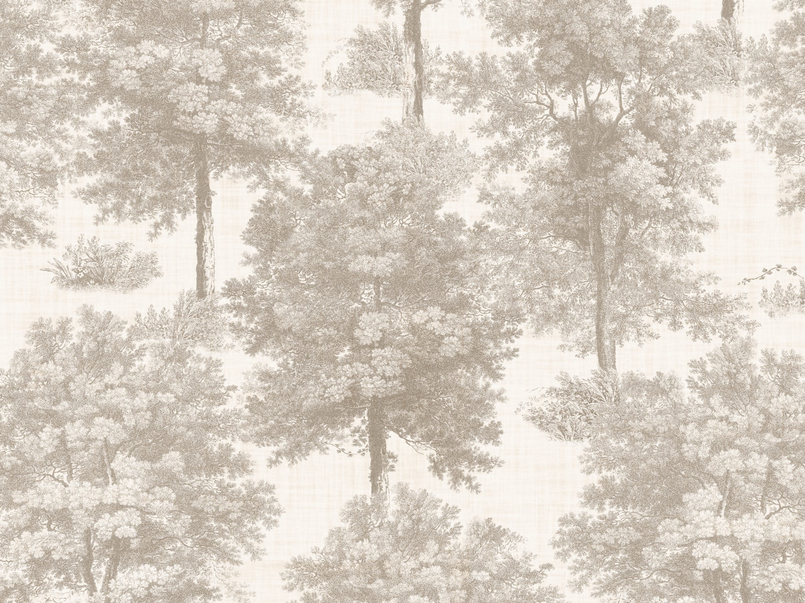 Coordonné Victorian Chestnut tree - B00352