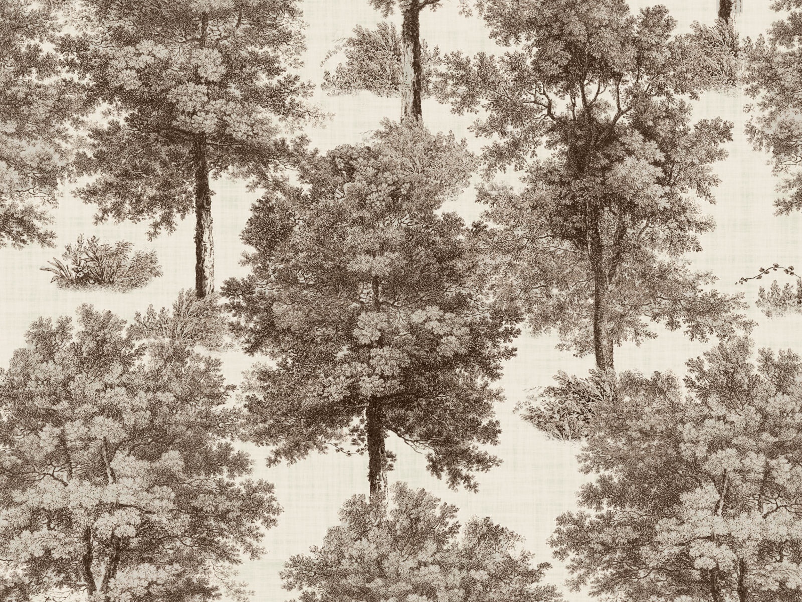 Coordonné Victorian Chestnut tree - B00353