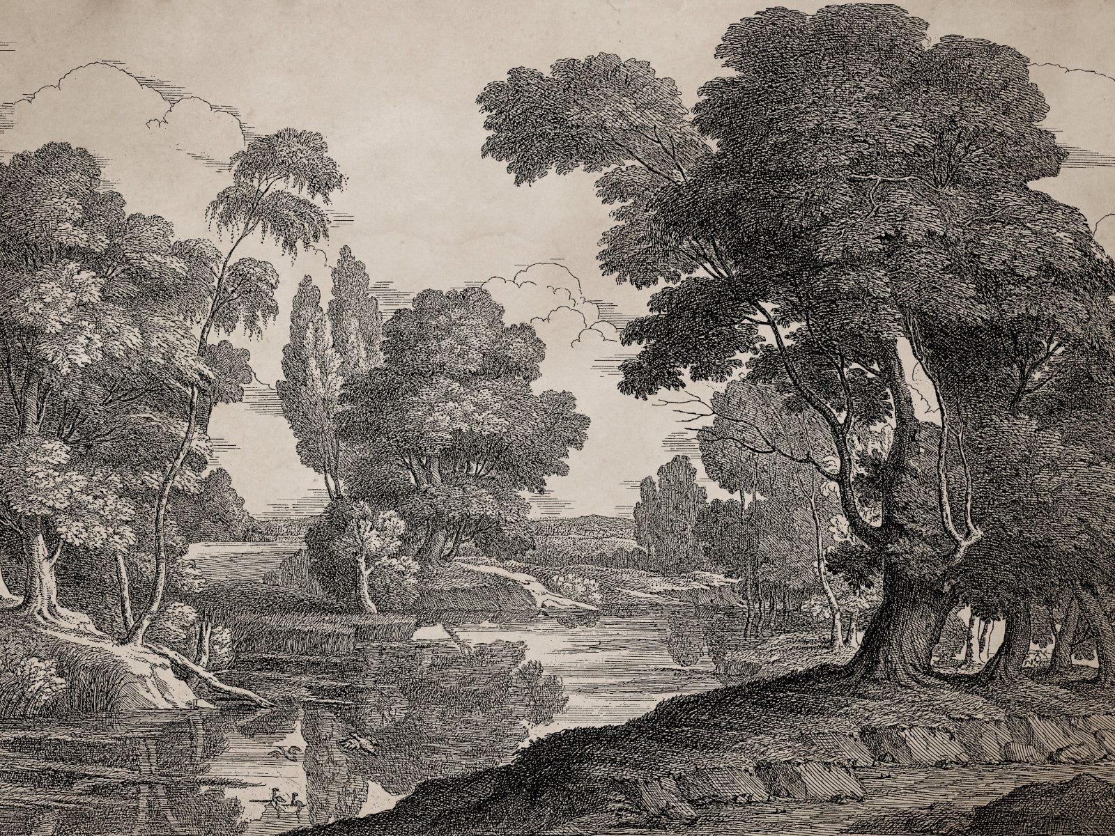 Coordonné Victorian Engraving - B00367