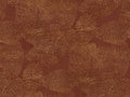 Coordonné Berber Rif Relief - B00407
