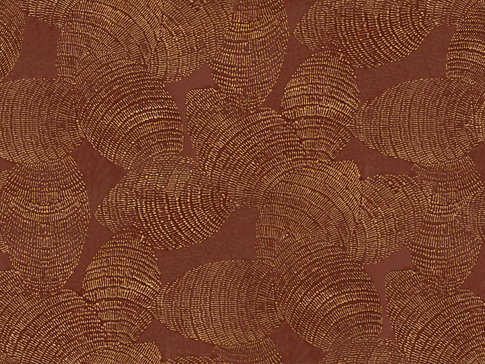 Coordonné Berber Rif Relief - B00407