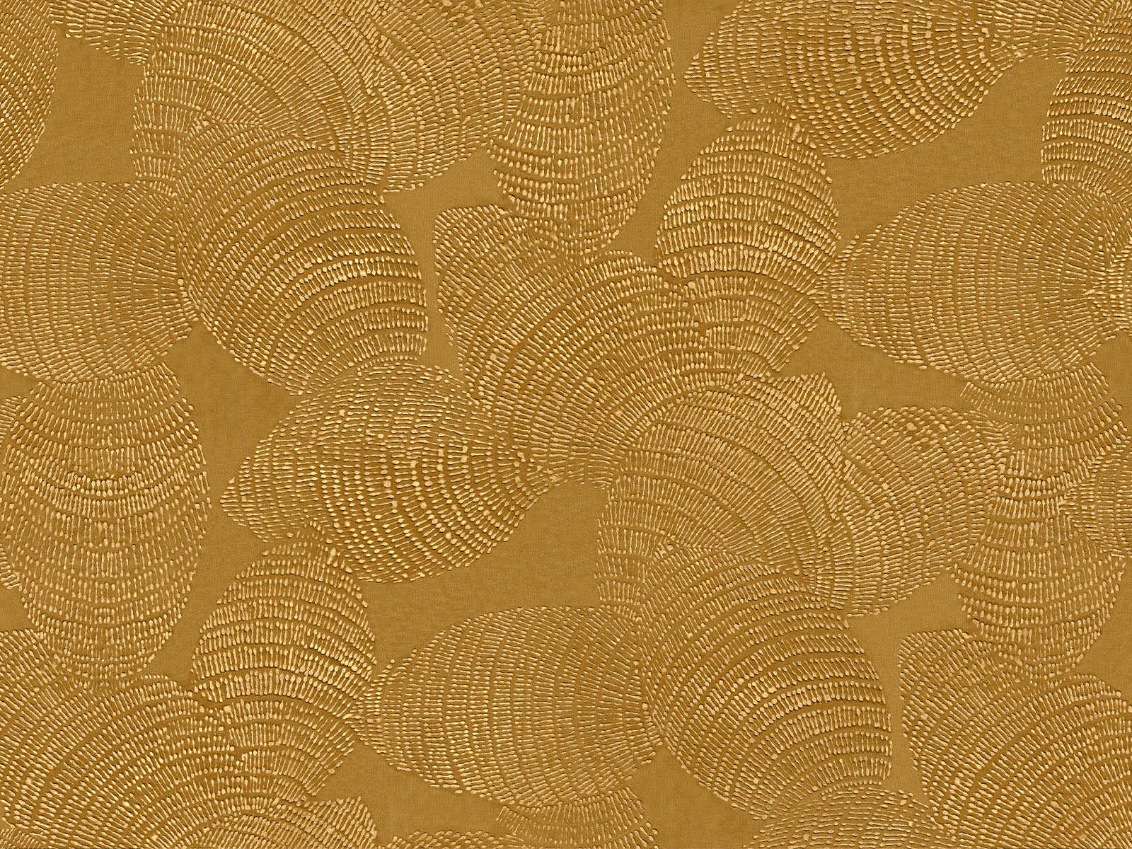 Coordonné Berber Rif Relief - B00410