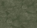 Coordonné Berber Rif Relief - B00411