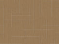 Coordonne Lattice Monoclinic - B00525