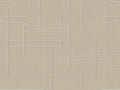 Coordonne Lattice Monoclinic - B00526