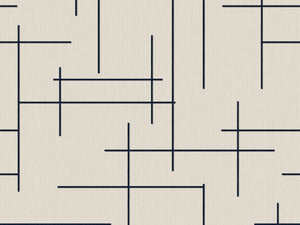 Coordonne Lattice Monoclinic - B00529