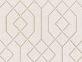 Coordonne Lattice Trellis - B00544