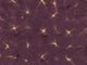 Coordonné Shibori Kanoko - B00906