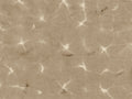 Coordonné Shibori Kanoko - B00907