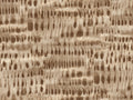 Coordonné Shibori Kawari - B00940