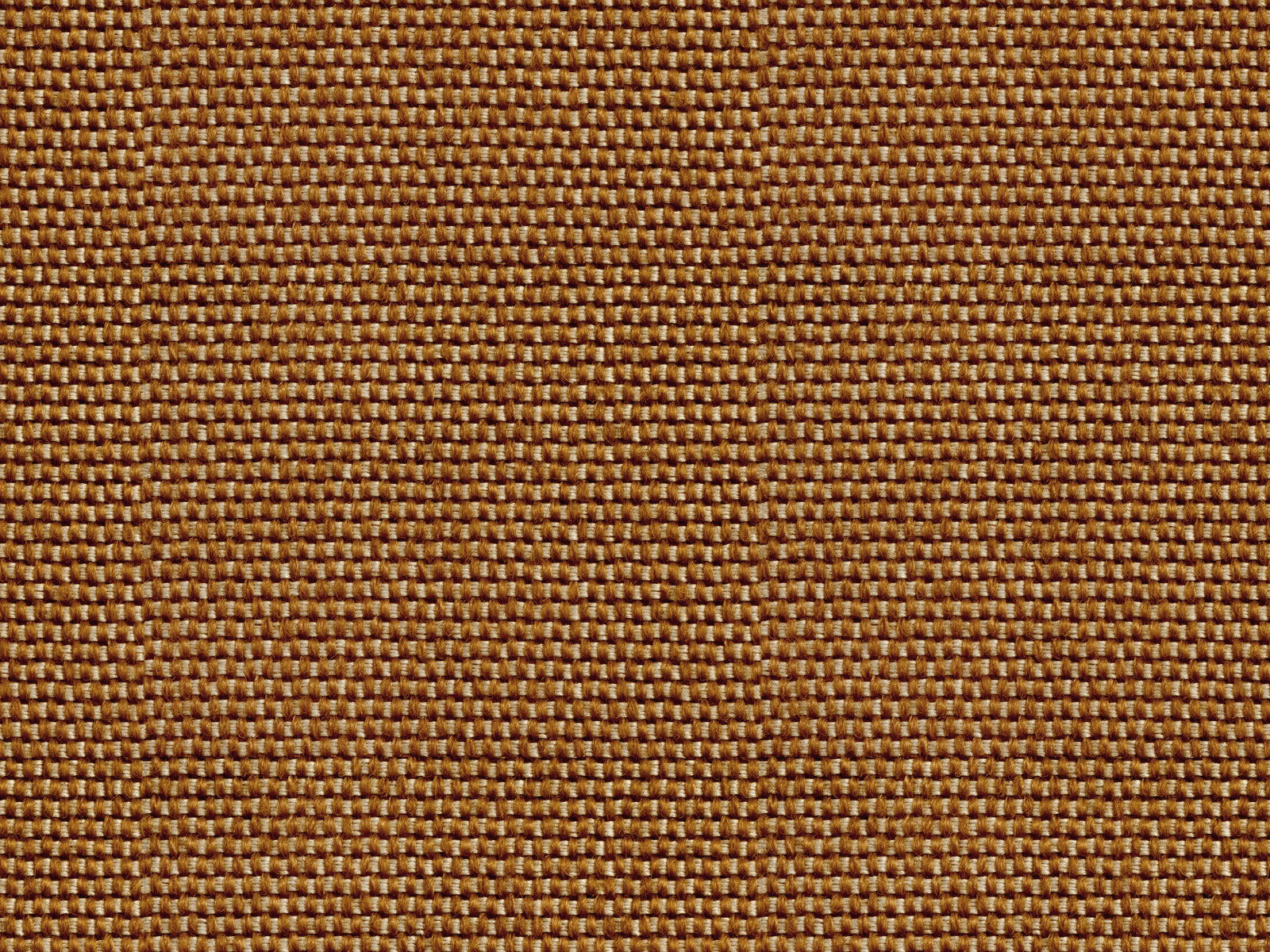 Coordonné Sarape Yuca - C00036