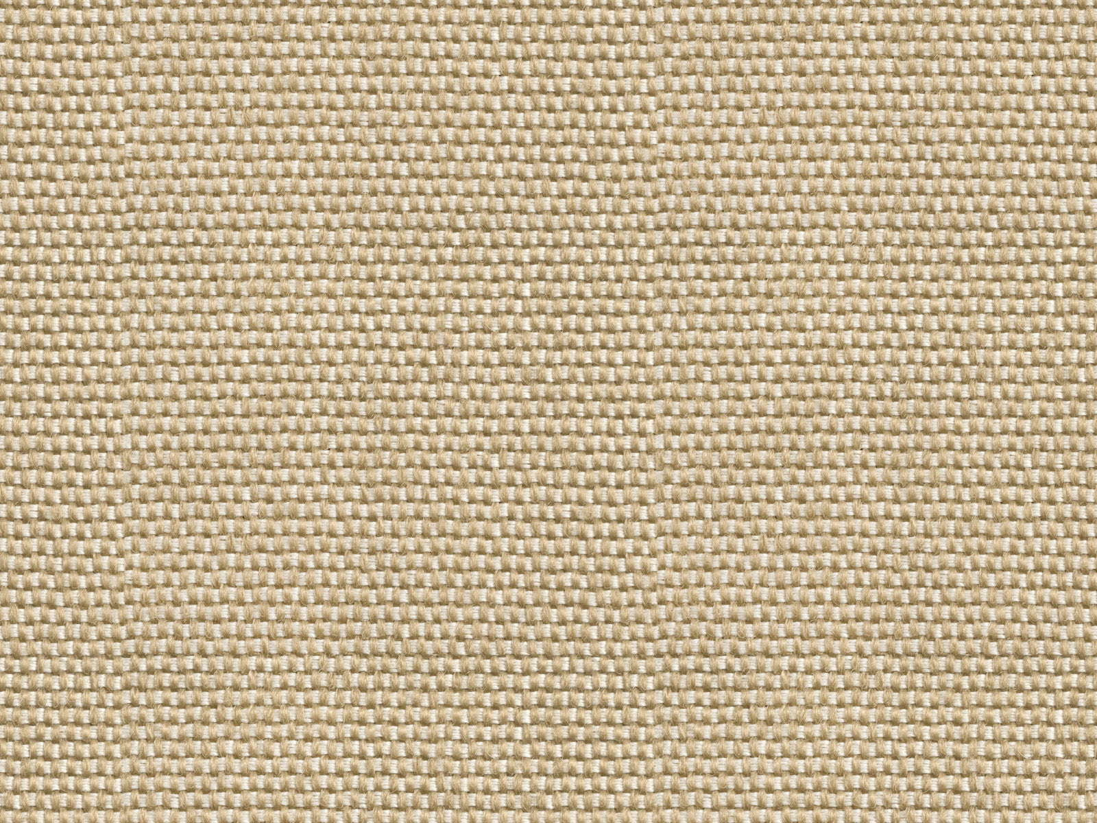 Coordonné Sarape Yuca - C00037