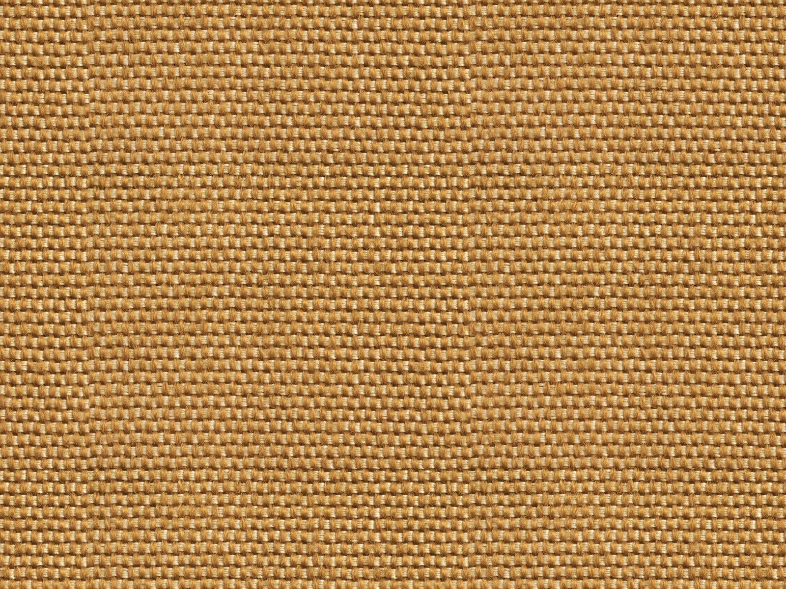 Coordonné Sarape Yuca - C00039