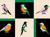Coordonné Coco Davez Like A Bird - C00133
