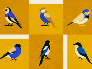 Coordonné Coco Davez Like A Bird - C00135