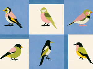 Coordonné Coco Davez Like A Bird - C00137