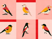 Coordonné Coco Davez Like A Bird - C00138