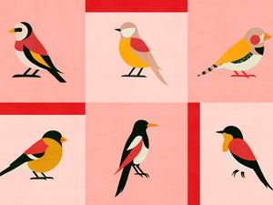 Coordonné Coco Davez Like A Bird - C00138