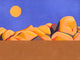 Coordonné Coco Davez Escapada - C00150