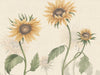 Sandberg Ett Hem, Oland Sunflowers - S10527
