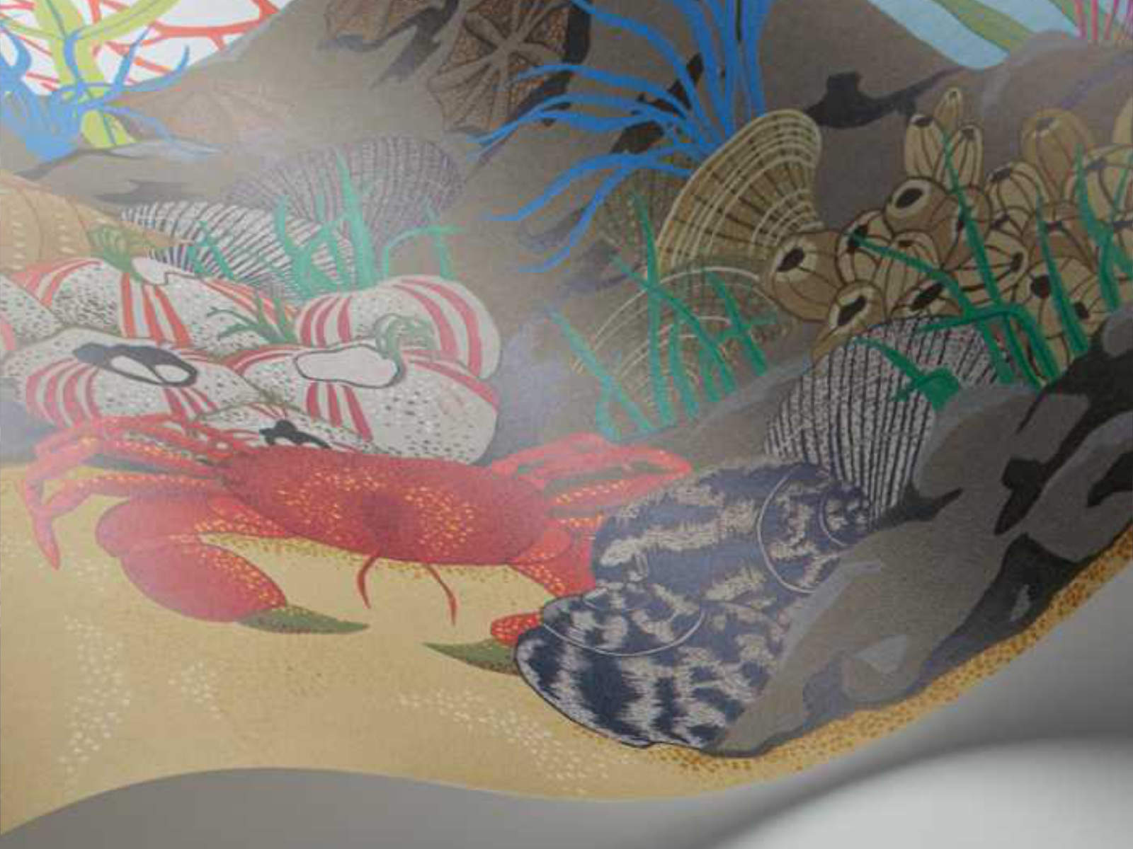 Cole & Son Whimsical Archipelago Border - 103/12054