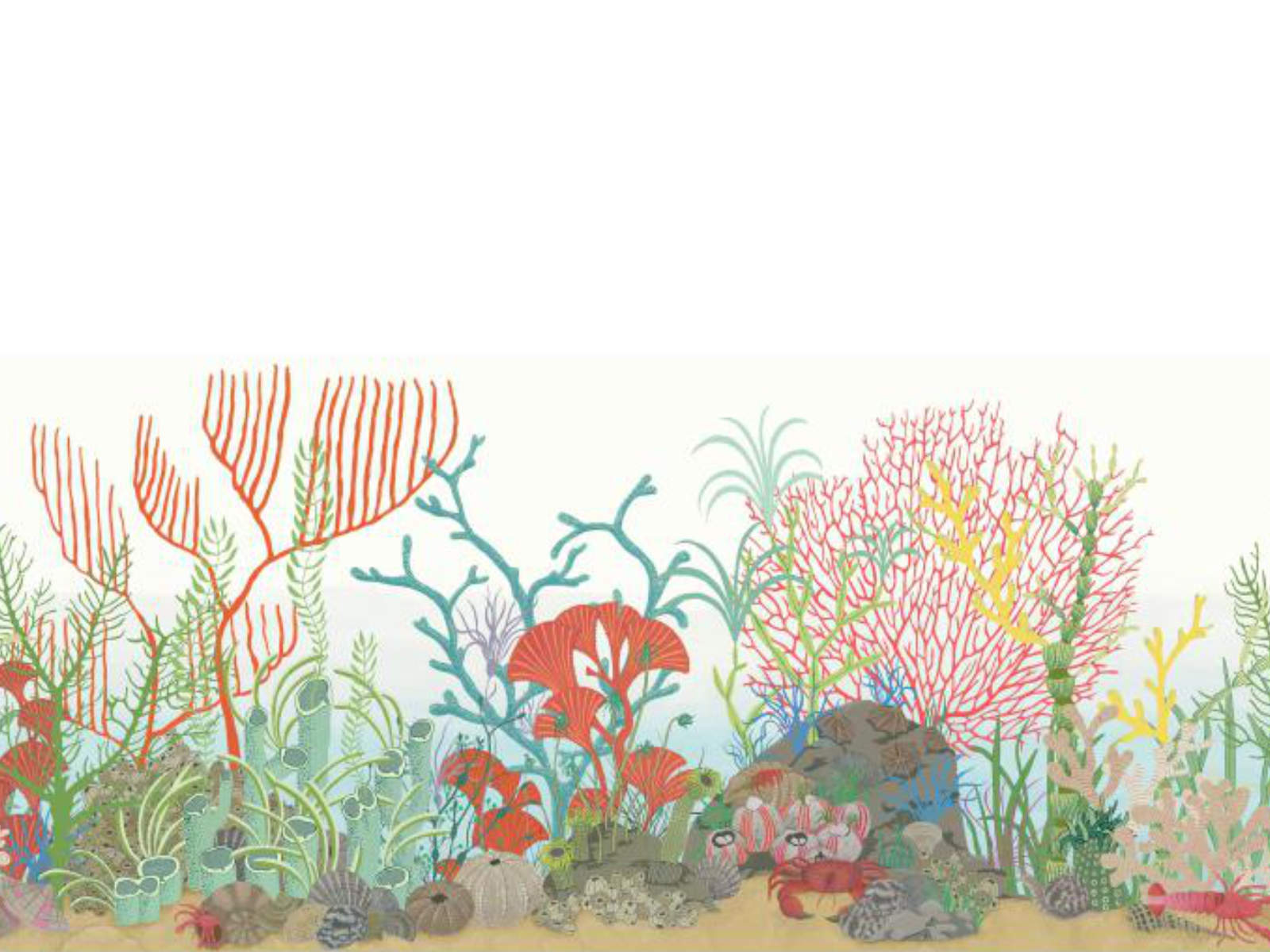 Cole & Son Whimsical Archipelago Border - 103/12054