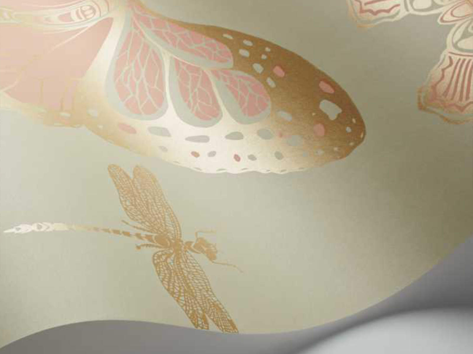 Cole & Son Whimsical Butterflies & Dragonflies - 103/15063