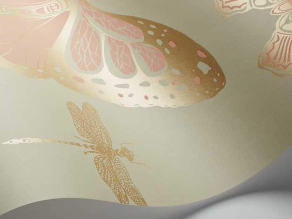 Cole & Son Whimsical Butterflies & Dragonflies - 103/15063