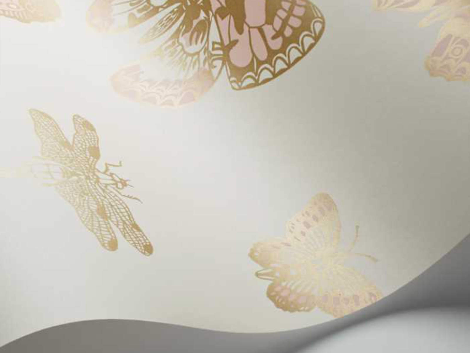 Cole & Son Whimsical Butterflies & Dragonflies - 103/15066