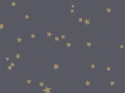 Cole & Son Whimsical Stars - 103/3017