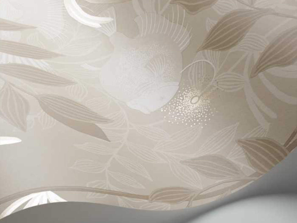 Cole & Son Whimsical Nautilus - 103/4021